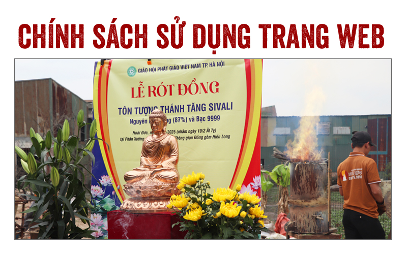 Chính sách và Quy định sử dụng Trang Web