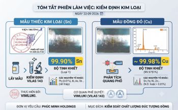 Kết Quả Phân Tích Mẫu Đồng Và Thiếc Đúc Tượng Của Viện Khoa Học Và Công Nghệ Mỏ - Luyện Kim
