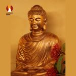 Tượng Phật Thích Ca tọa Thiền thờ trong Chùa hoặc nhà riêng, đồng đỏ 2